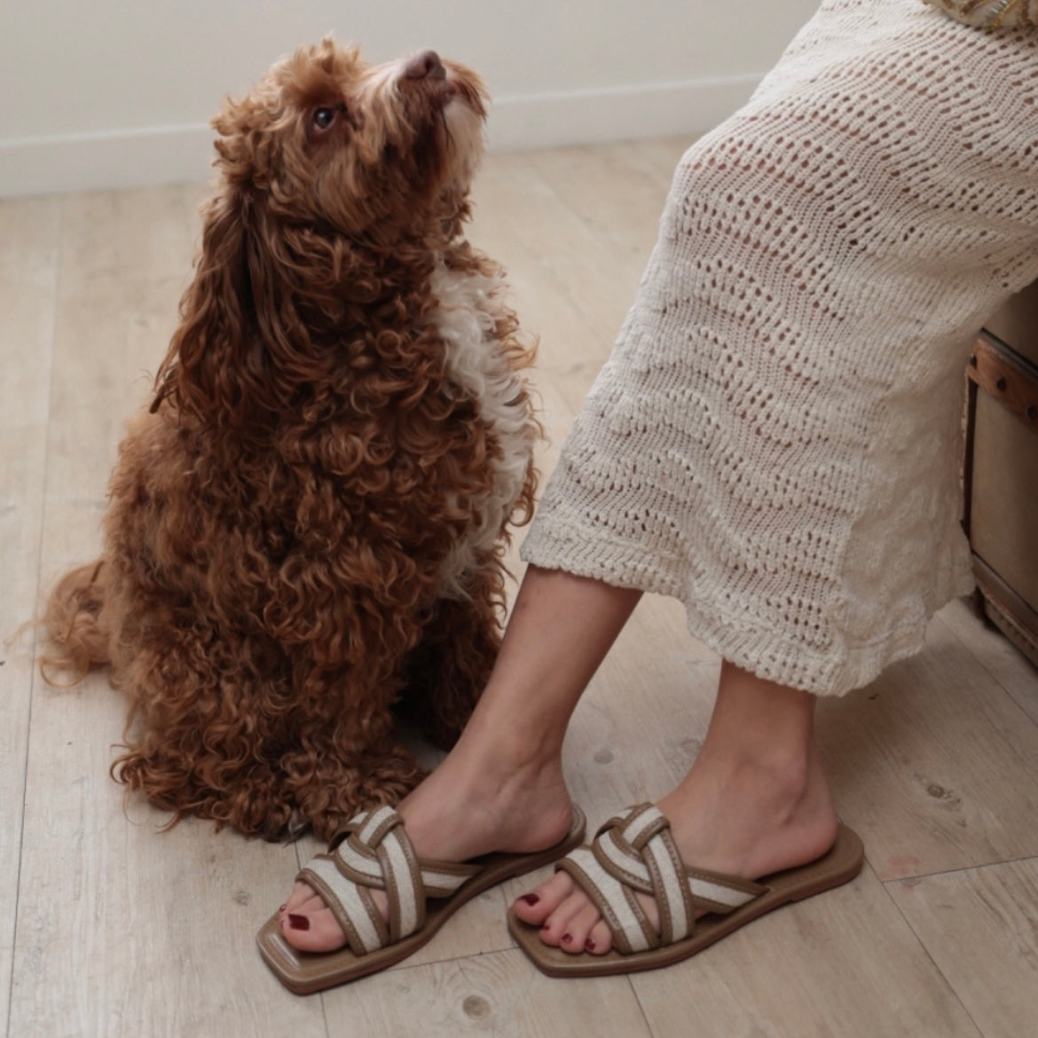 Solar Coast  Flat Sandals